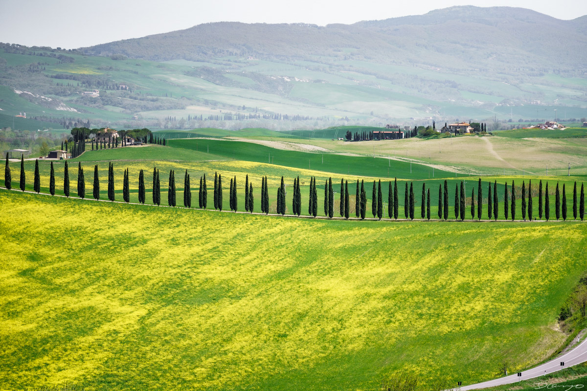 Photos from Rome, Venice, Florence, Tuscany, Manarola, Vernazza, Riomaggiore, Verona, Trento, and the Italian Alps in Spring of 2022.